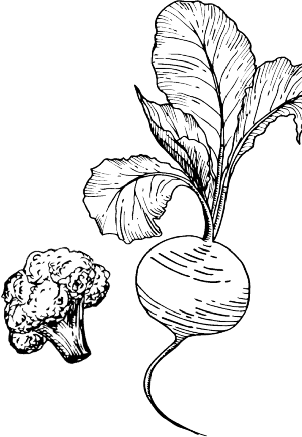 natural-stick-image
