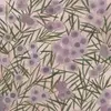 Wax Flower Mauve