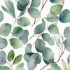 Eucalyptus