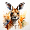 Kangaroo