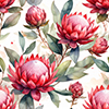 Waratah watercolour